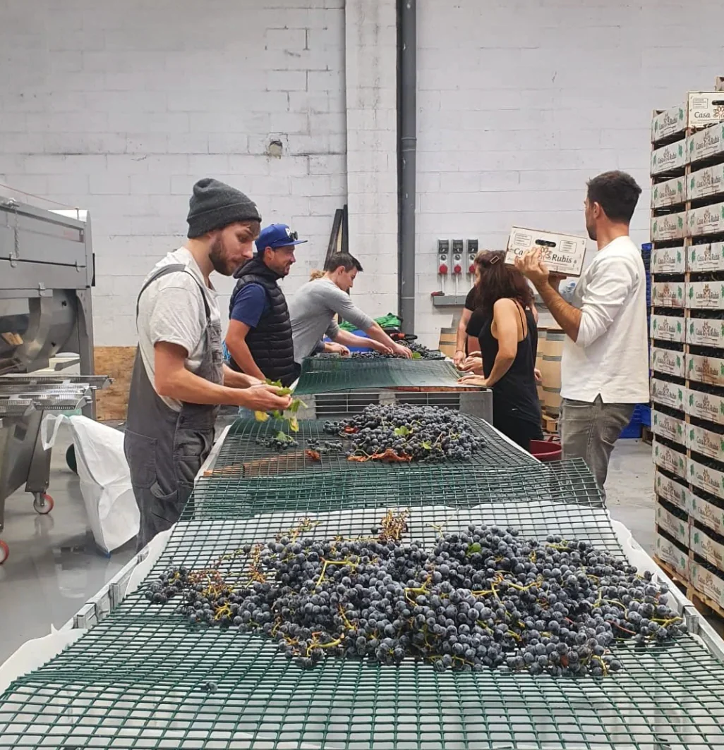 🍷 Friend of Dorothy Wine Tasting at Renegade Wine Bar - Image 4